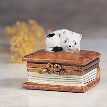 Picture of Limoges Cat on Book Box