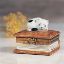 Picture of Limoges Cat on Book Box