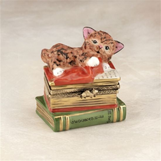 Picture of Limoges Cat on Books Box 