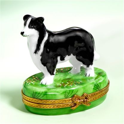 Picture of Limoges Border  Collie Box