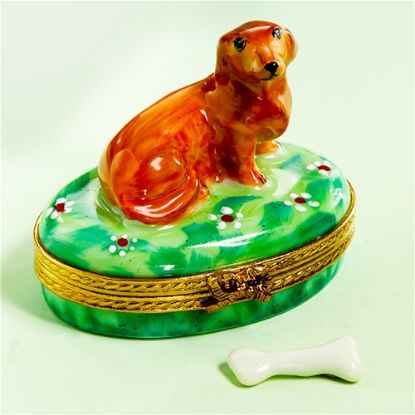 Picture of Limoges Brown Dachshund on Grass with Bone Box