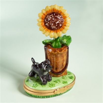 Picture of Limoges Sunflower with Schnauzer Puppy Box