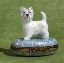 Picture of Limoges Westie on the Street Box