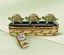 Picture of Limoges Turtle History book Box