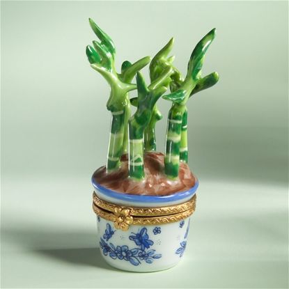 Picture of Limoges Bamboo Shoots in Pot Box