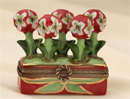 Picture of Limoges Chamart Amaryllis Jardiniere Box