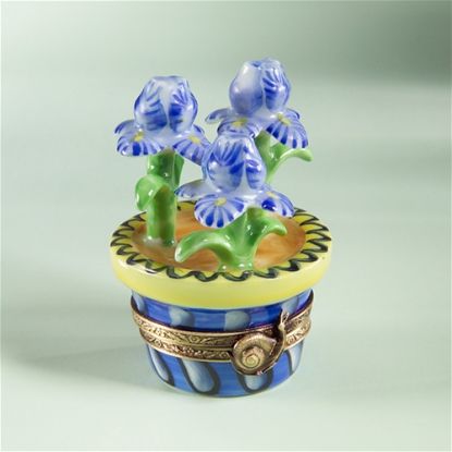 Picture of Limoges Chamart Iris in Cachepot Box