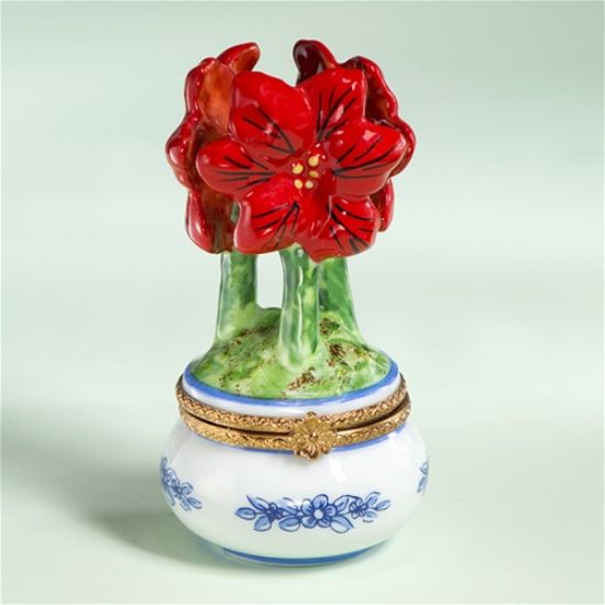 Picture of Limoges red Amaryllis in White Pot Box