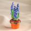 Picture of Limoges Blue Gladiolo in Terracota Pot