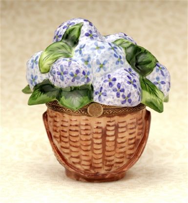 Picture of Limoges Hydrangeas in Pot Box