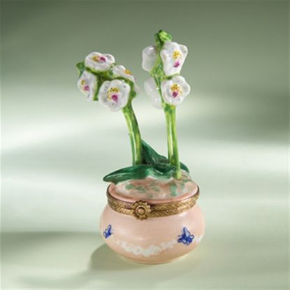 Picture of Limoges Orchids in Pink Pot with Butterflies Box