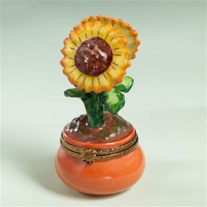 Picture of Limoges Sunflower in Terracota Pot Box