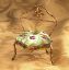 Picture of Limoges Louis XV Chair with Fleur de Lys and Roses Box                  Box