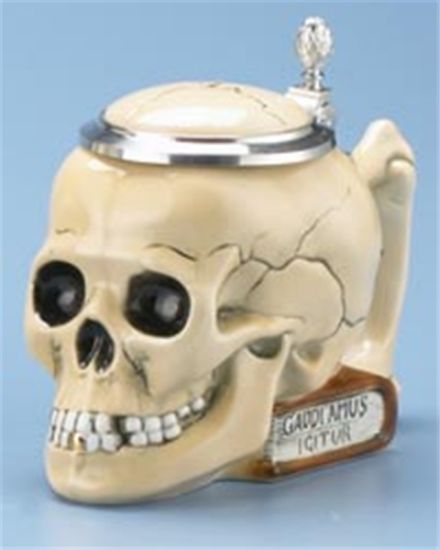 Picture of Skull on Book German Beer Stein