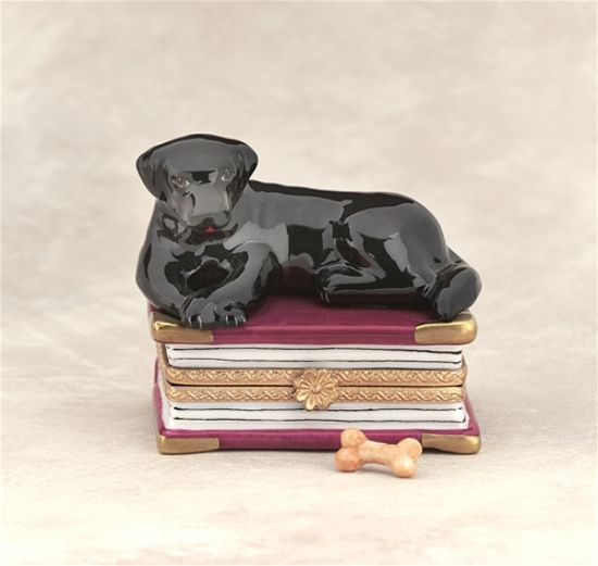 Picture of Limoges Black Lab on Book with Bone Box