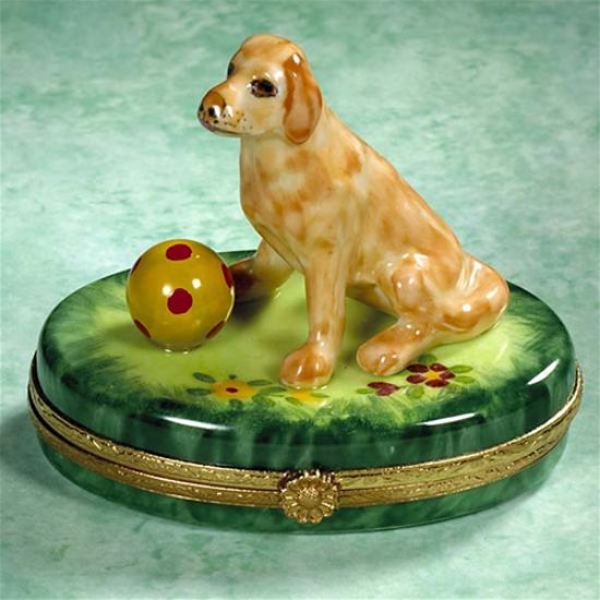 Picture of Limoges Yellow Lab on Grass with Ball Box