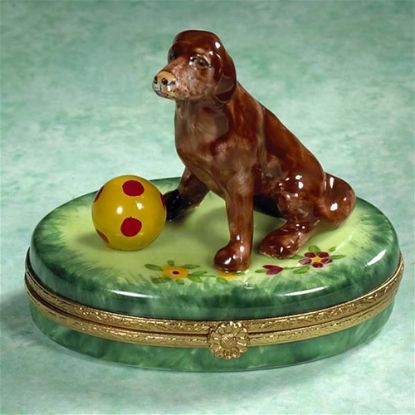 Picture of Limoges Chocolate Lab on Grass with Ball Box
