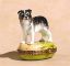 Picture of Limoges Black Australian Shephard Dog Box