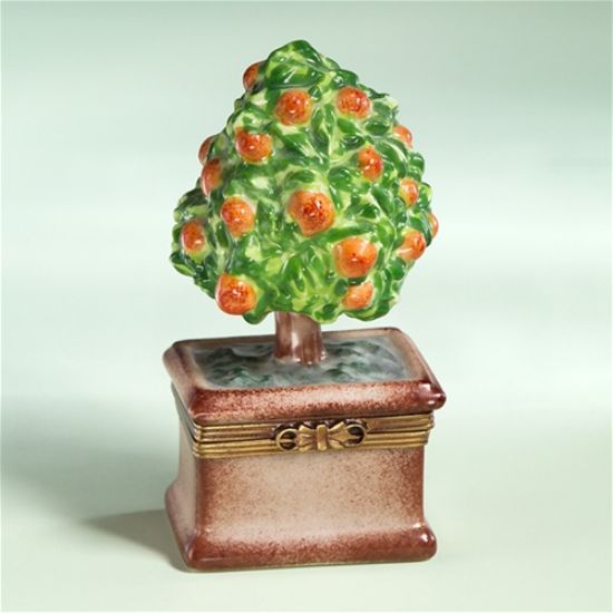 Picture of Limoges Orange Tree Box in Pot