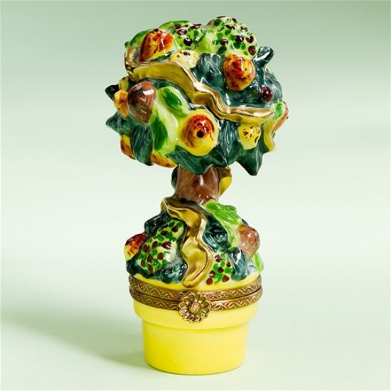 Picture of Limoges Pear Topiary Tree Box