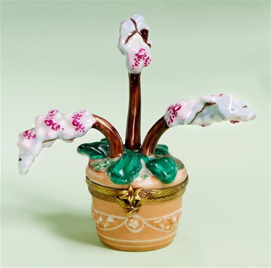 Picture of Limoges Orchids in Terracotta Pot Box