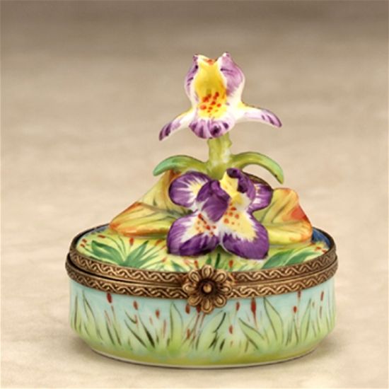 Picture of Limoges Iris on Grass Box