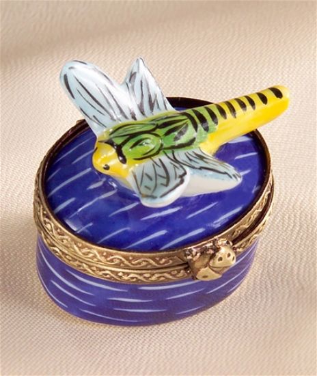 Picture of Limoges Mini Dragonfly in the Water Box