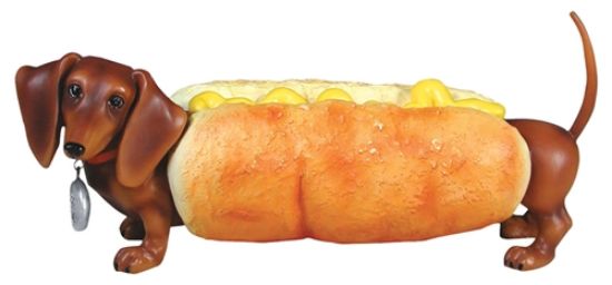 Picture of Hot Dog Dog 