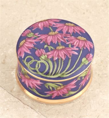 Picture of British China Aster Box