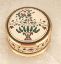 Picture of British China Tree with Leaves 3" Box
