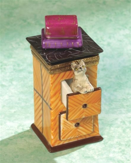Picture of Limoges Cat in Drawer with Books Box