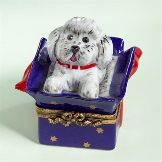 Picture of Limoges White Puppy in Gift Box
