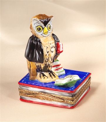 Picture of Limoges Owl Professor on Books Box