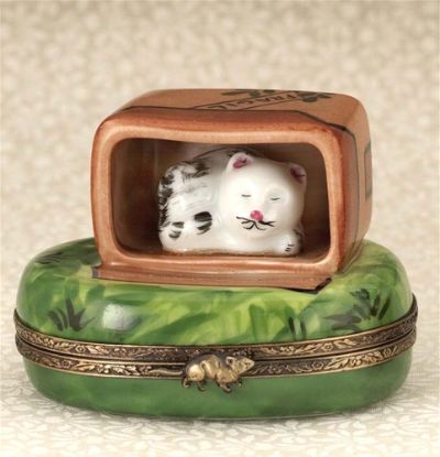 Picture of Limoges Cat in Traveling Case Box