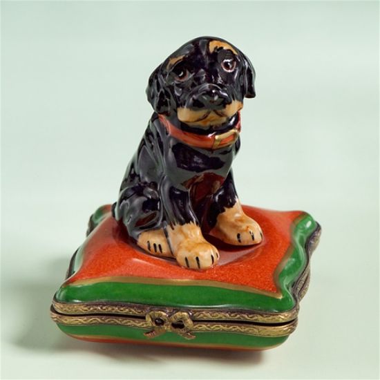 Picture of Limoges Rotweiler Puppy on PIllow Box