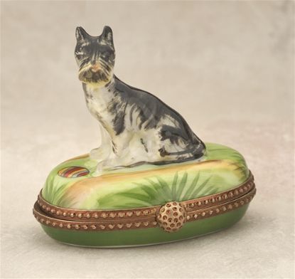 Picture of Limoges Black Gray Schnauzer on Grass Box 