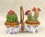 Picture of Limoges Double Cactus in Pots  Box 