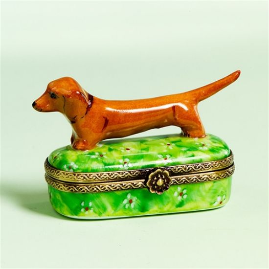 Picture of Limoges Light Brown Dachshund on Grass Box