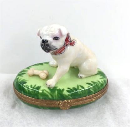 Picture of Limoges French Bulldog on Grass with Bone Box