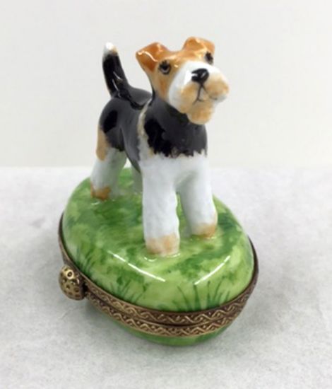 Picture of Limoges Fox Terrier Dog on Grass Box