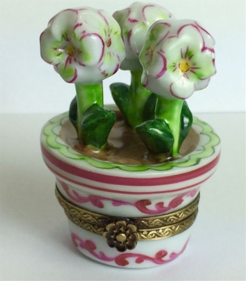 Picture of Limoges Amarylis in Pink and White Cachepot Box