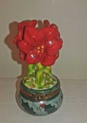 Picture of Limoges Amarylis in Holiday Cachepot Box