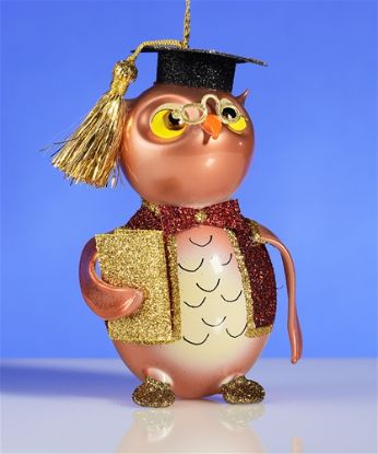 Picture of De Carlini Graduate Owl Christmas Ornament