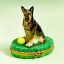 Picture of Limoges German Shepherd on Grass with Ball Box 