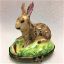 Picture of Limoges Brown Rabbit on Grass with Carrot box