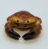 Picture of Limoges Brown Crab Box