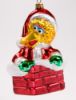 Picture of Big Bird Glass Ornament  