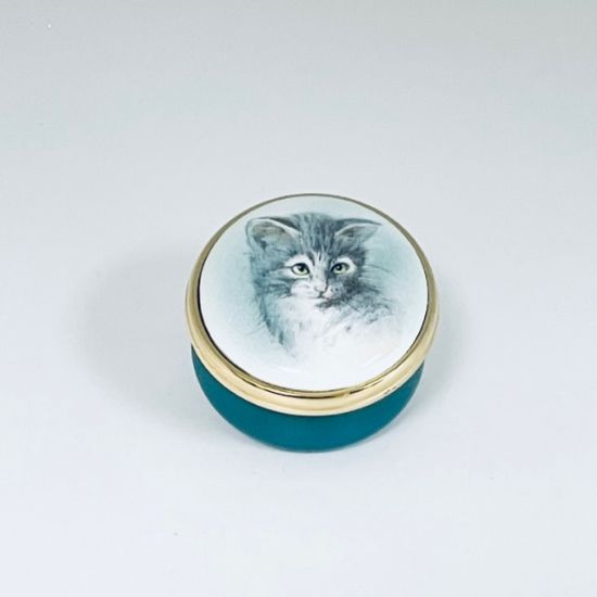 Picture of Gray Kitten Portrait Painting Ashely Enamel Box