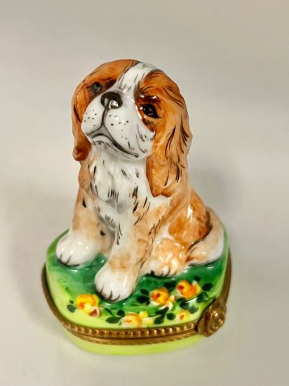 Picture of Limoges King Charles Cavalier Light Brown Box 