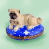 Picture of Limoges Pug on Blue Box